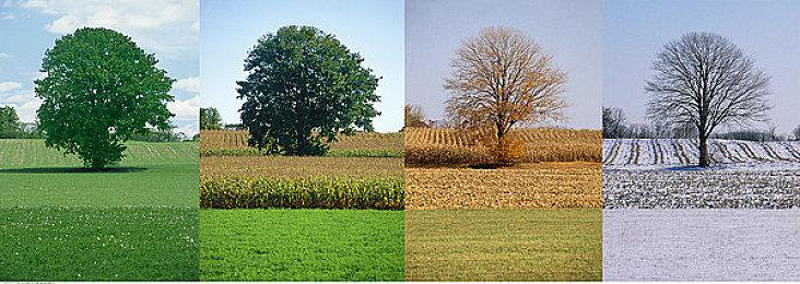 《铁拳8》PS5版将支持触觉反馈和3D音频